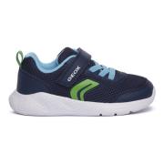 Sneakers Geox CF43U SPRIBTYE