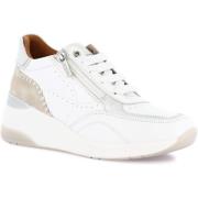 Lage Sneakers Grunland DSG-SC4629
