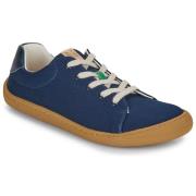 Lage Sneakers Dream in Green ZAPHIRI