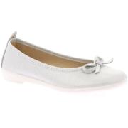 Ballerina's Grunland DSG-SC5163