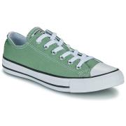 Lage Sneakers Converse CHUCK TAYLOR ALL STAR MINI FLOWERS