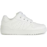 Sneakers Geox Baskets Washiba