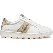 Sneakers Geox Baskets femme Spherica Ecub