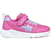Sneakers Geox Baskets femme Sprintye A