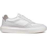 Sneakers Geox Baskets Deiven