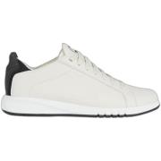 Sneakers Geox Baskets Aerantis