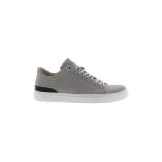 Sneakers Blackstone Baskets PM56