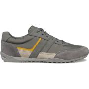 Sneakers Geox Baskets Wells A