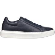 Sneakers Geox Baskets Deiven