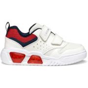 Sneakers Geox Baskets enfant Illuminus A