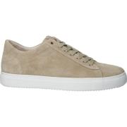 Sneakers Blackstone Baskets Roger Low