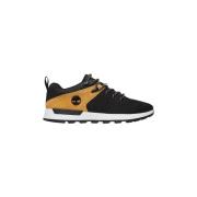Nette schoenen Timberland Chaussures