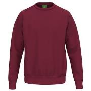 Sweater Erima Sweatshirt TS