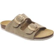 Slippers Plakton Beta Flex