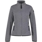 Trui Icepeak -