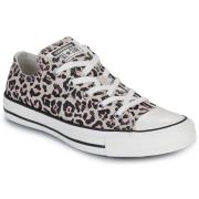 Lage Sneakers Converse CHUCK TAYLOR ALL STAR