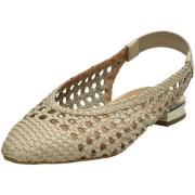 Ballerina's Gioseppo -