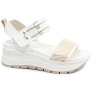 Sandalen IgI&amp;CO IGI-E25-7677522-BI