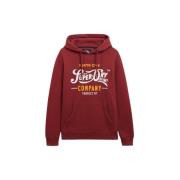 Sweater Superdry Sweatshirt à capuche Perfect Fit Script