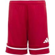 Korte Broek adidas Squa25 Sho Y