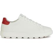 Sneakers Geox Baskets Spherica