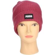 Hoed Puma 024038