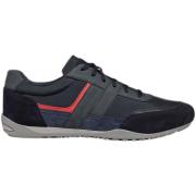 Sneakers Geox Baskets Wells