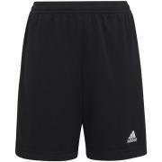 Korte Broek adidas Ent22 Tr Shoy
