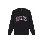 Sweater Dickies AITKIN DK0A4XAB-J941 BLACK