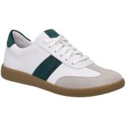 Nette Schoenen Josef Seibel -