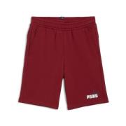 Korte Broek Puma -