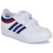 Lage Sneakers adidas HOOPS 4.0 CF C
