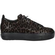 Lage Sneakers Paul Green Sneaker