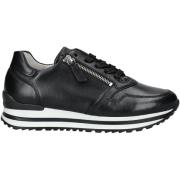 Lage Sneakers Gabor Sneaker