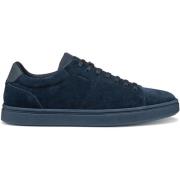 Lage Sneakers Geox Sneaker