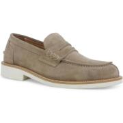 Mocassins Melluso U0890Z-248569