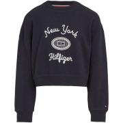 Fleece Jack Tommy Hilfiger Hilfiger Ny Embroidered Crewne