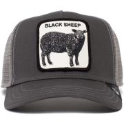 Hoed Goorin Bros Sheepie