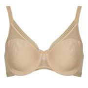 Minimizer bh Triumph Infinite Sensation W01