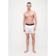 Korte Broek Dsquared -