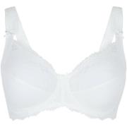 Voorgevormde bh Lingadore DAILY Beugel BH - Plus Size