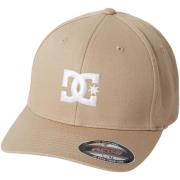 Pet DC Shoes Star 2 Cap