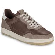 Lage Sneakers Clae HAYWOOD
