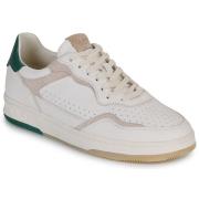 Lage Sneakers Clae HAYWOOD
