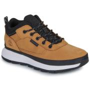 Hoge Sneakers Timberland FIELD TREKKER