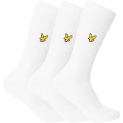 Socks Lyle &amp; Scott 3 paar Hamilton sportsokken