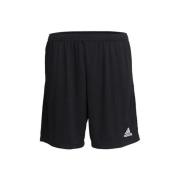 Korte Broek adidas -