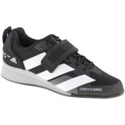Lage Sneakers adidas adidas Adipower Weightlifting 3