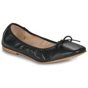 Ballerina's Fericelli DANA