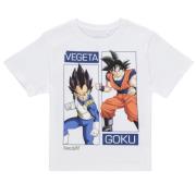 T-shirt Korte Mouw Name it NKMJES DRAGON